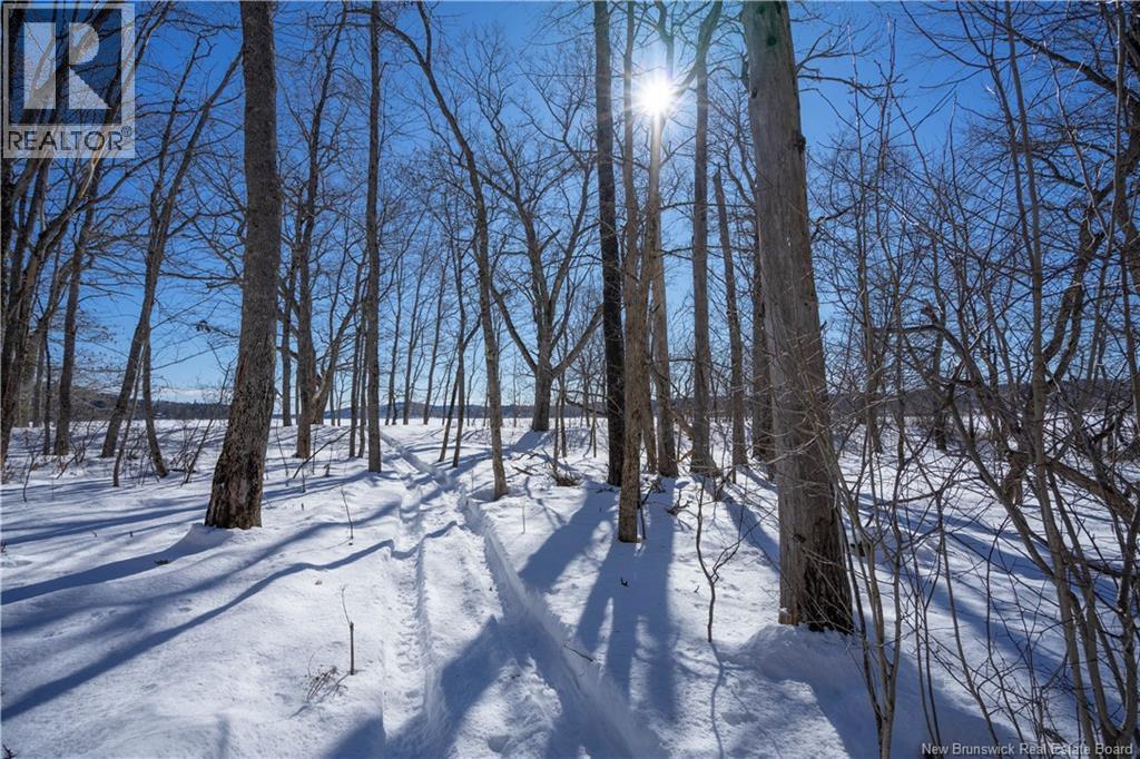 53 WOODMANS POINT ROAD - 41