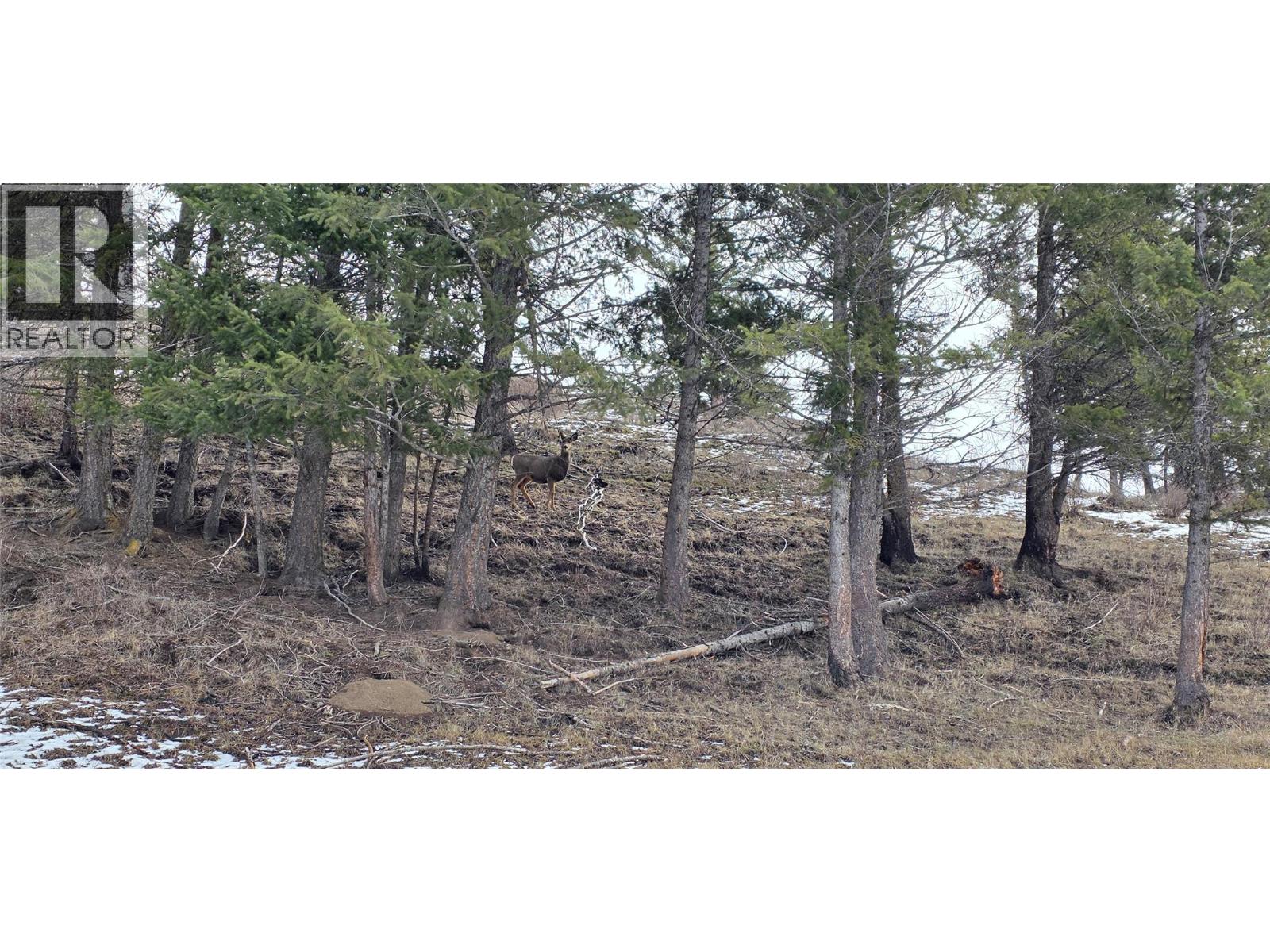 1720 HULME CREEK ROAD - 60