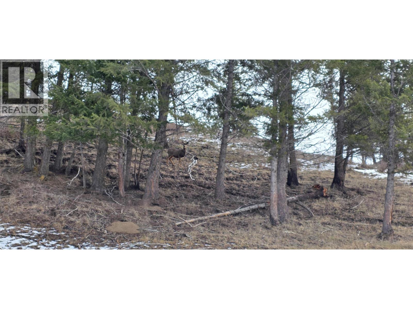 1720 HULME CREEK ROAD - 59