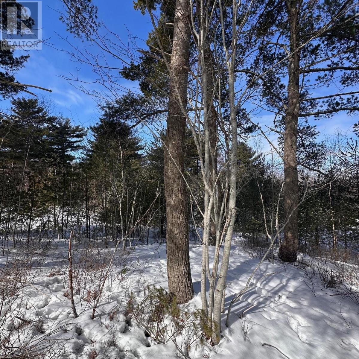 Property 9 of 15 of 58 Eisenhauer Lane