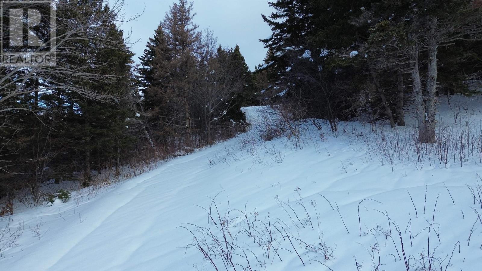 Property 13 of 24 of 3166 Highway 19