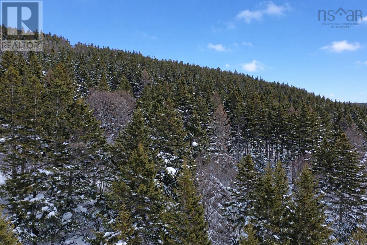 Property 20 of 24 of 3166 Highway 19