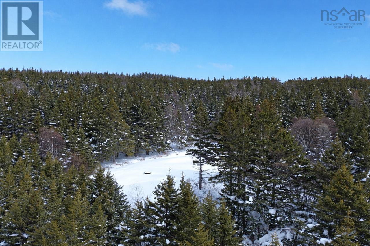 Property 21 of 24 of 3166 Highway 19