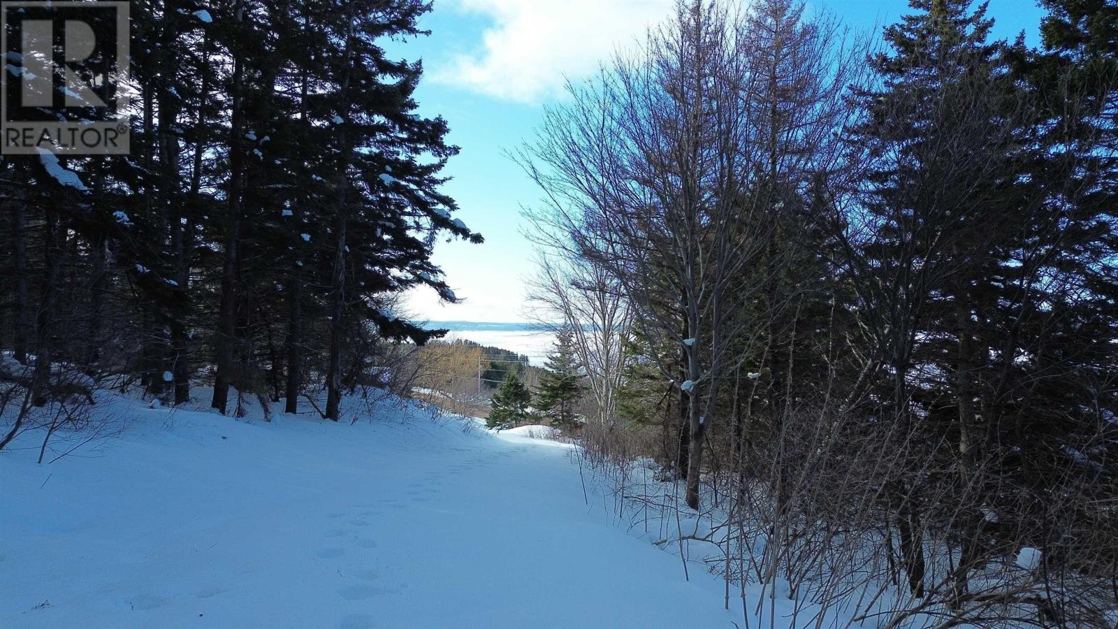 Property 4 of 24 of 3166 Highway 19