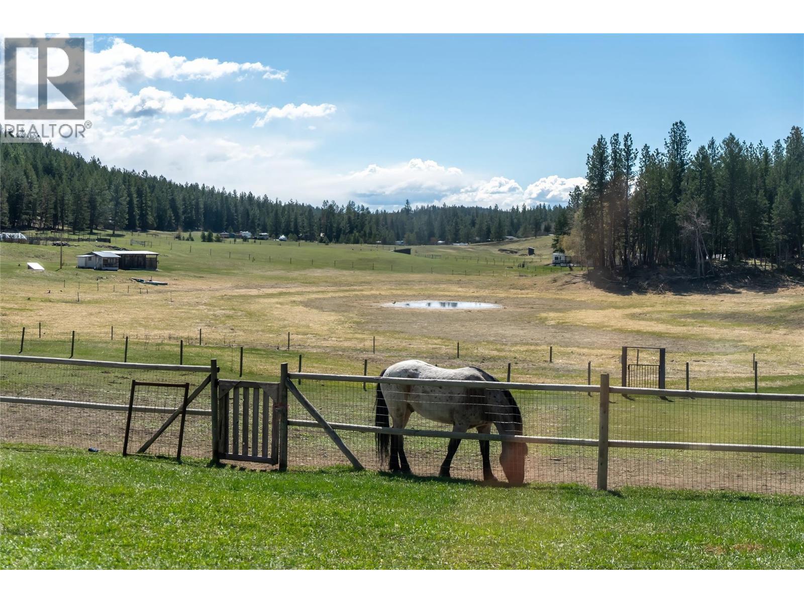 505 Chief David Road, Baynes Lake