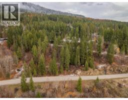 3605 Highway 3a & 6 Road, South Slocan, BC V0G2G3 Photo 8