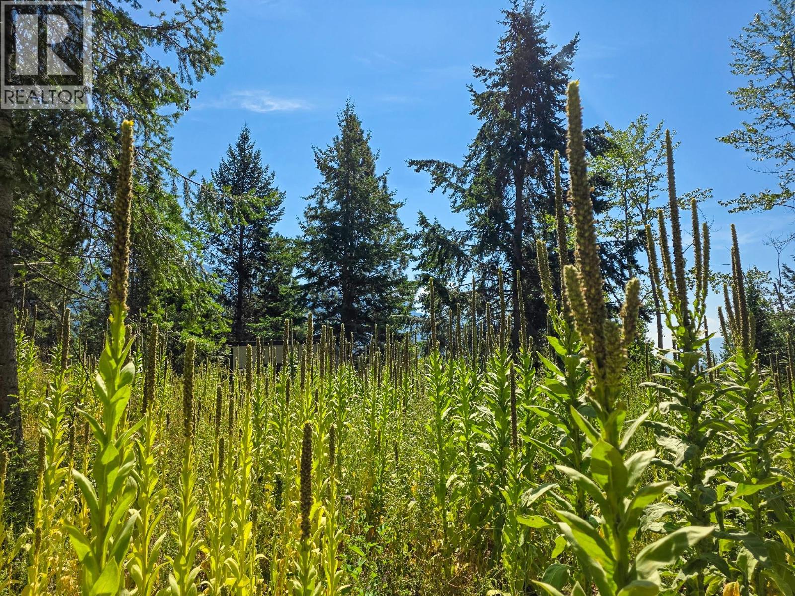 902 35  N AVENUE - 11