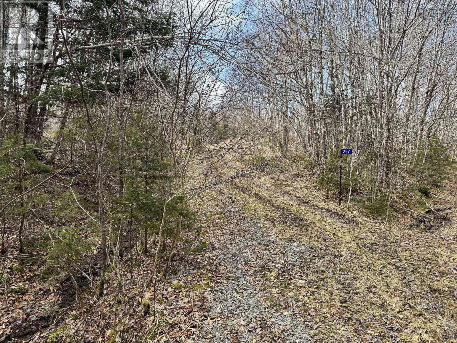 Property 4 of 13 of 257 Birch Road