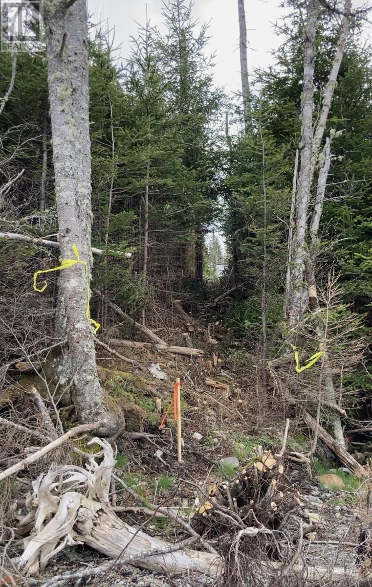 Property 3 of 20 of Lot 21-2 West Liscomb Point Road