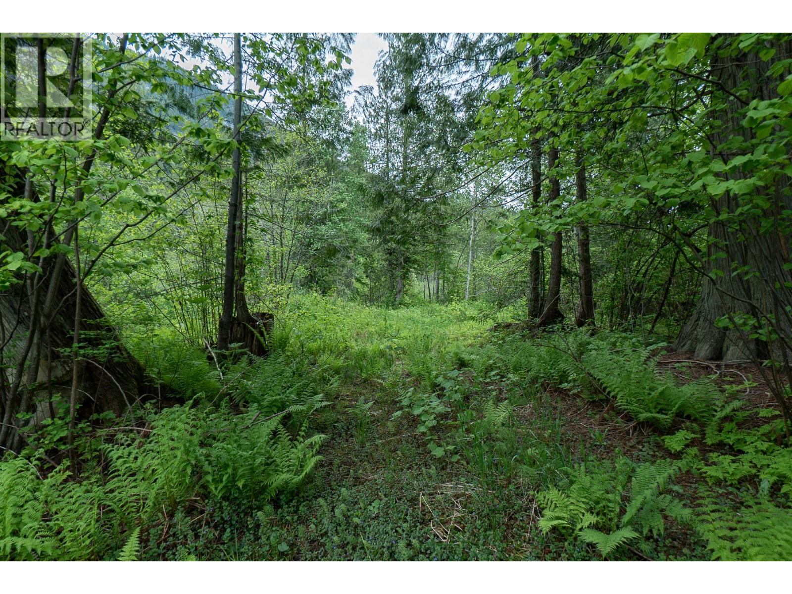  5926 Ferguson Frontage Road, Malakwa