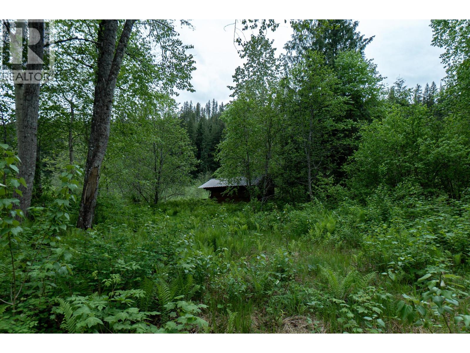  5926 Ferguson Frontage Road, Malakwa