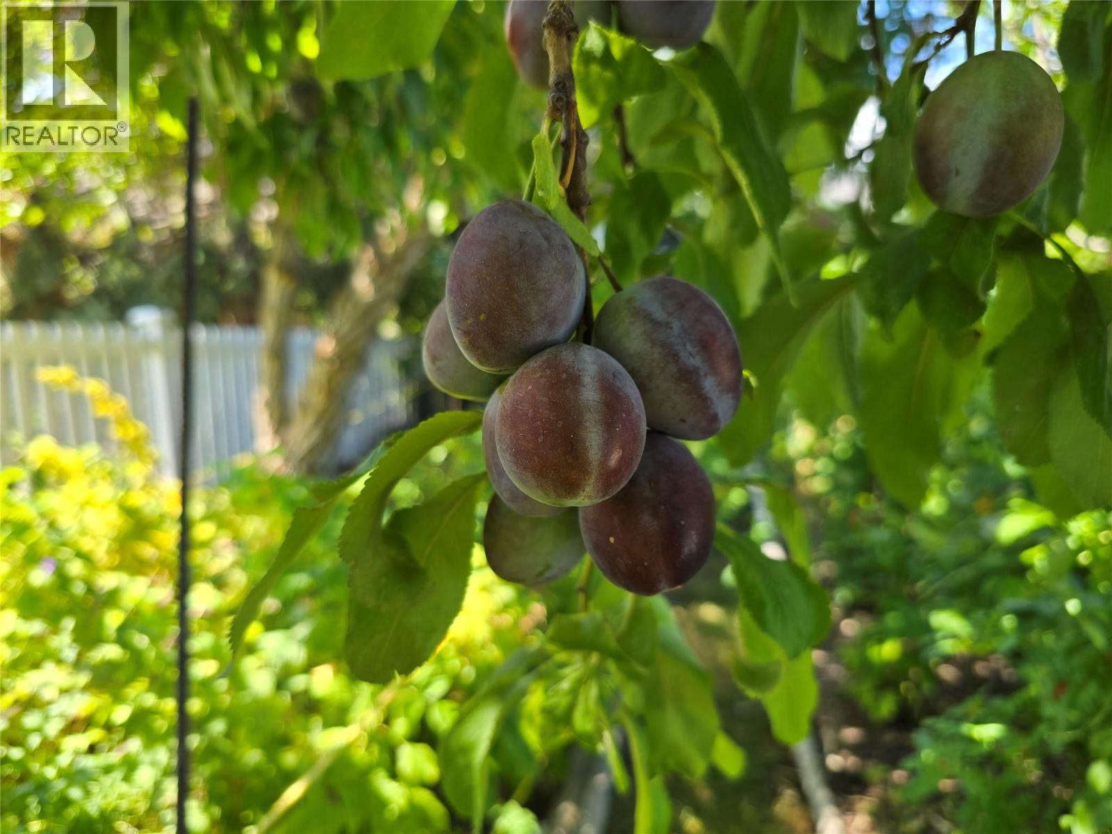 1526 CUMMING BOULEVARD - 40