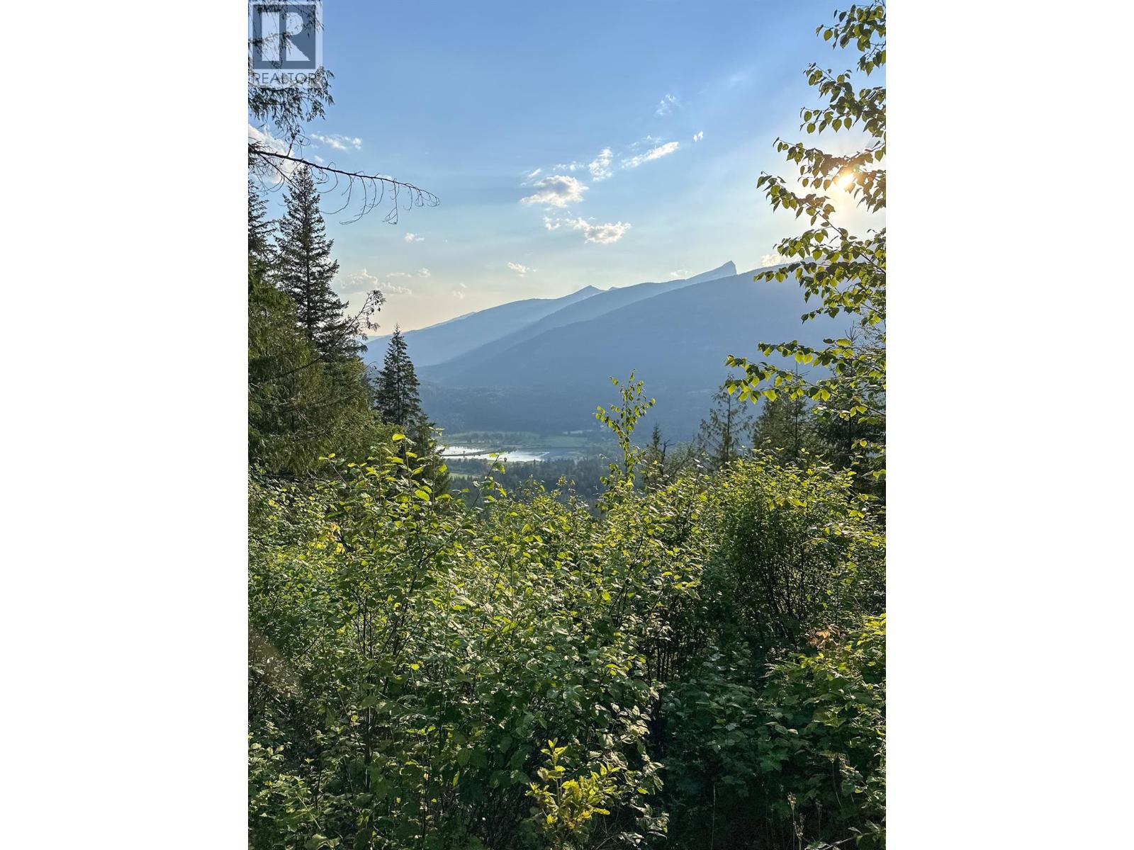 8907 MARTENS Road, Slocan