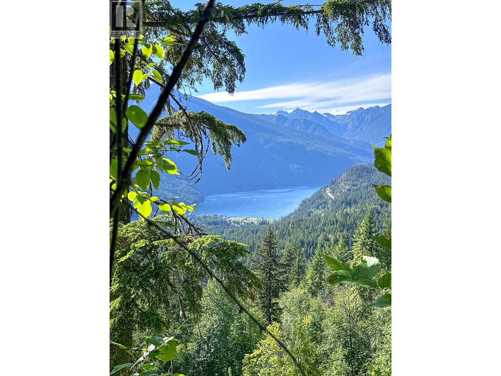 8907 MARTENS Road, Slocan