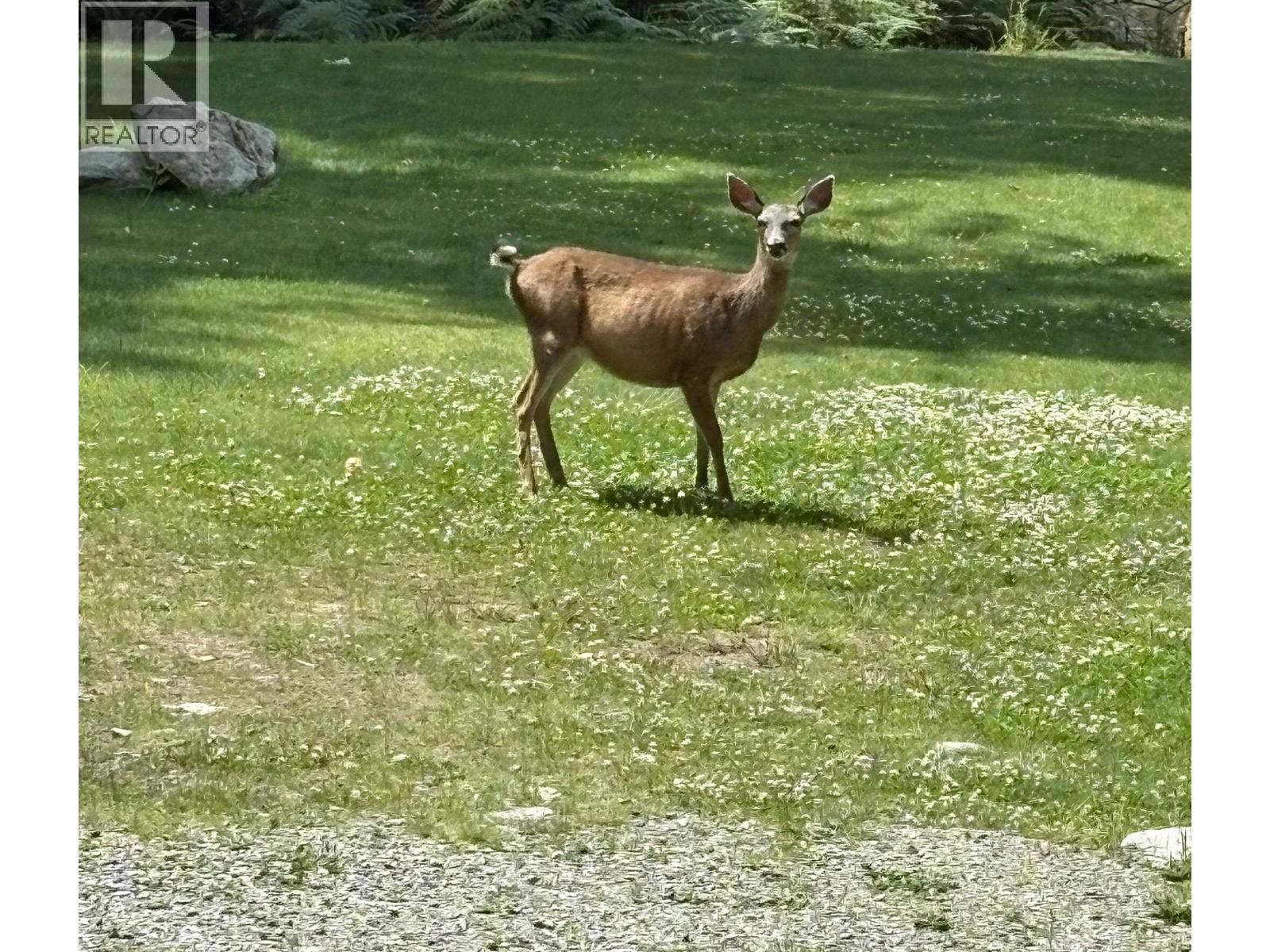 LOT 4 STRAHAN ROAD, Gambier Island