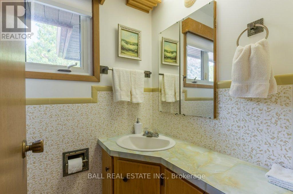 919 SKYLINE ROAD - 22