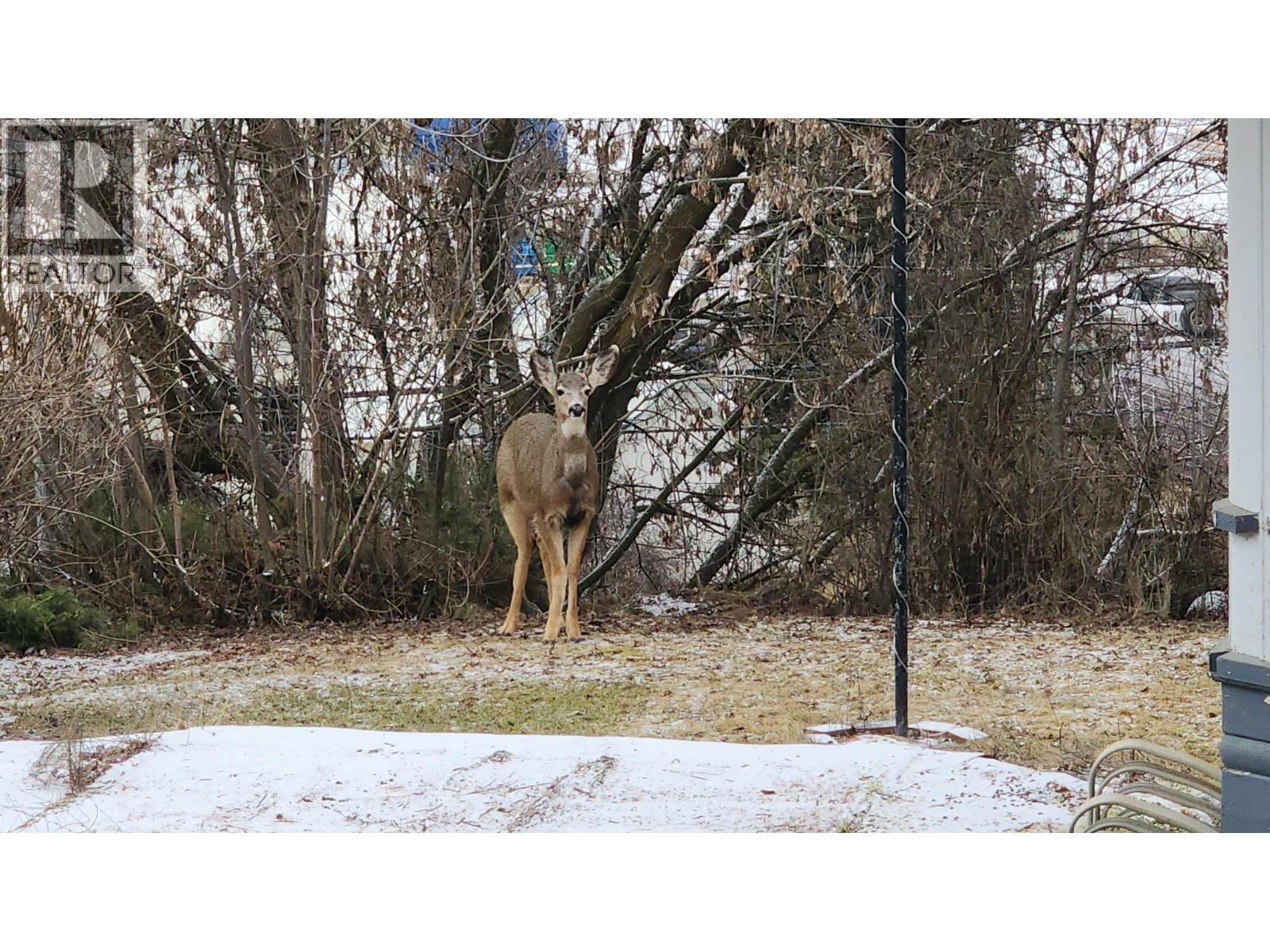 2017 Catt Avenue, Lumby