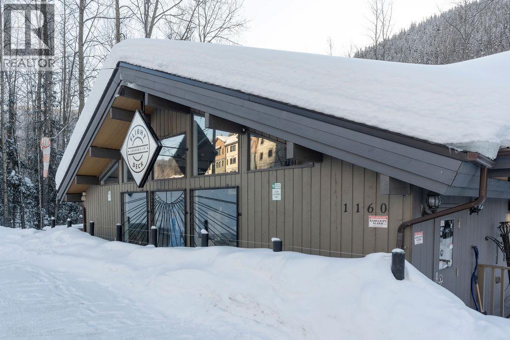 1160 SUN PEAKS Road - photo 4