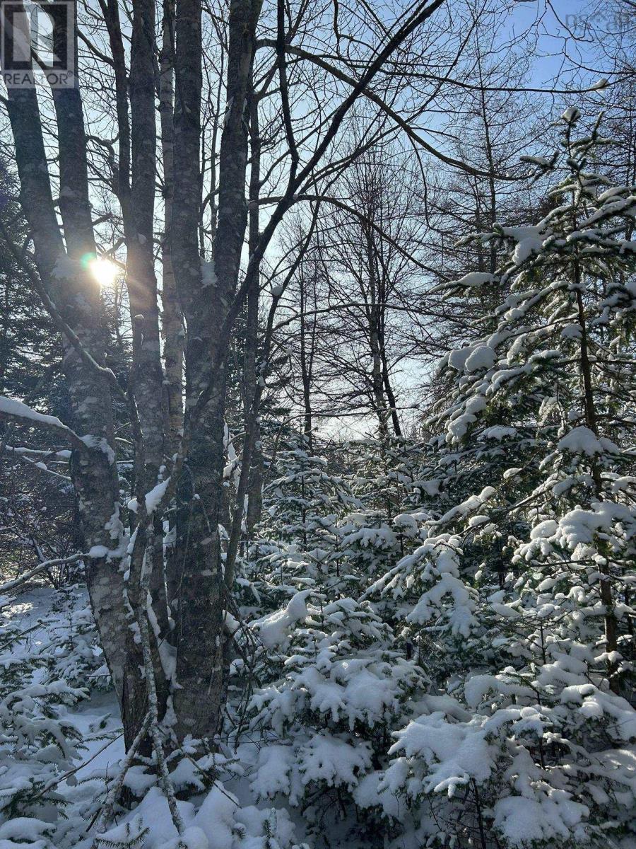 Property 3 of 18 of Lot 11 Lower River Road, Grantville