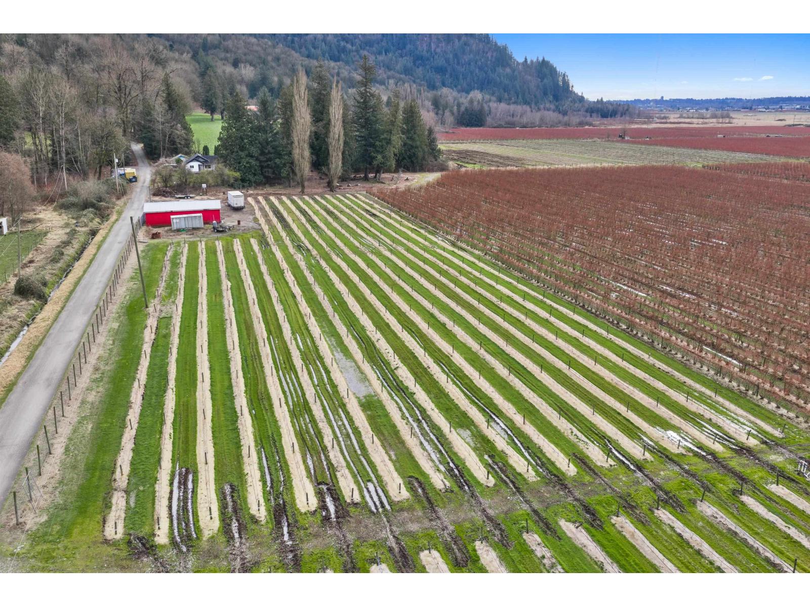 6209 LITTLE STREET, Abbotsford