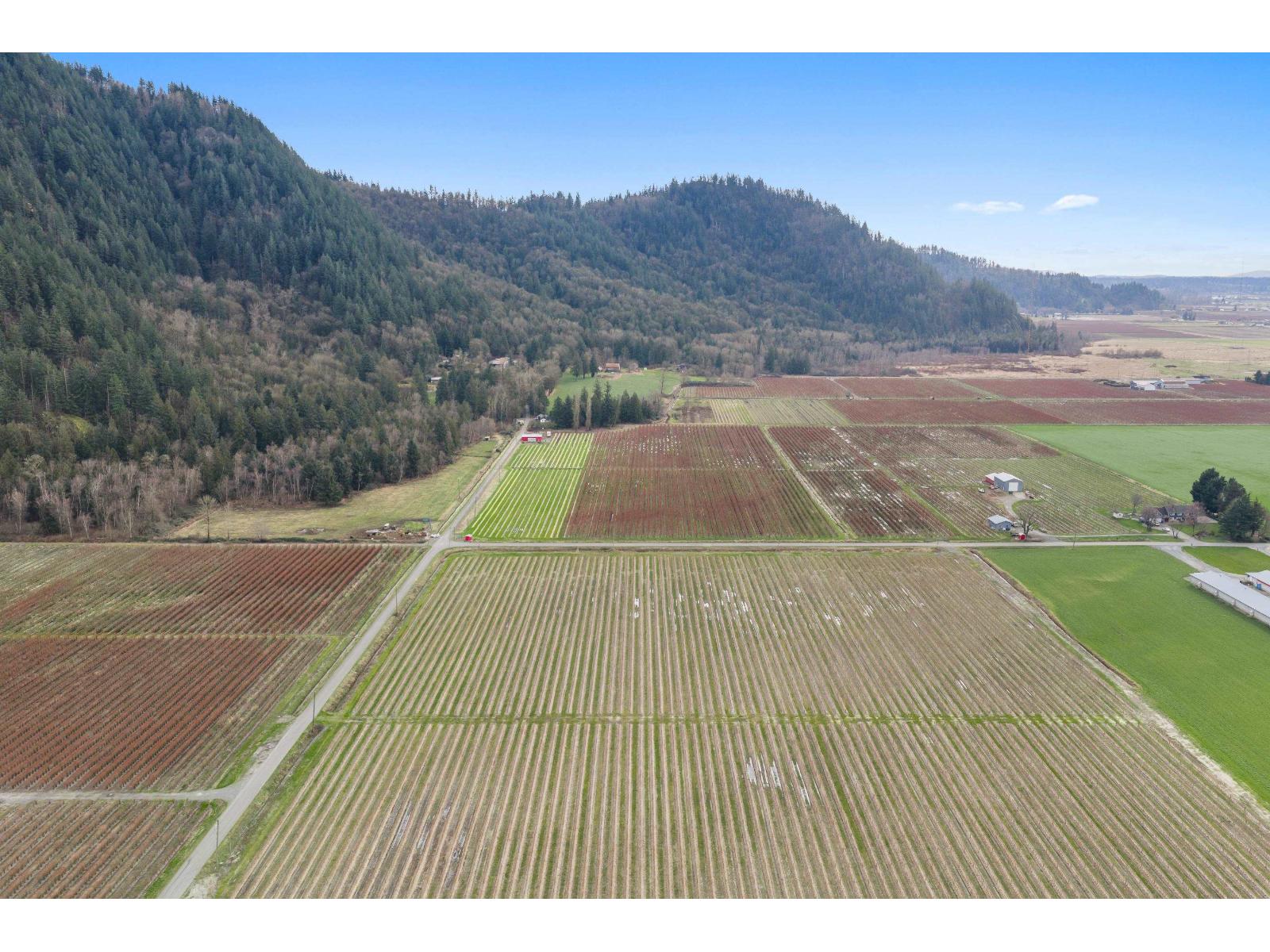 6209 LITTLE STREET, Abbotsford