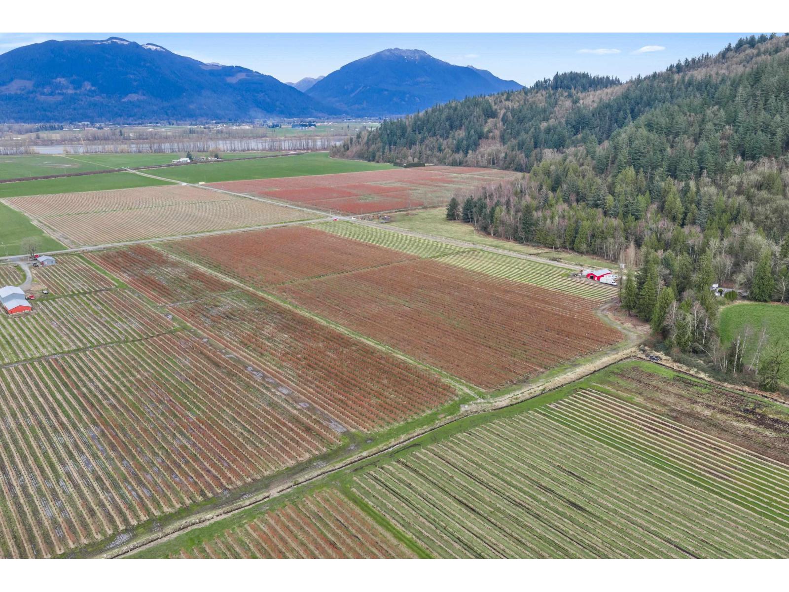 6209 LITTLE STREET, Abbotsford