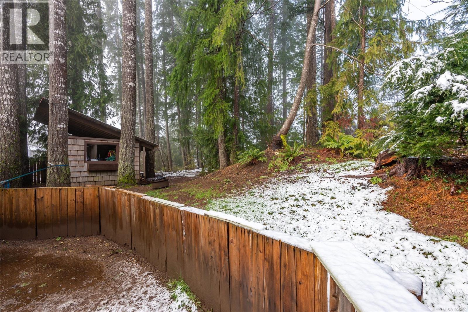 525 MUCHALAT CRT - 50