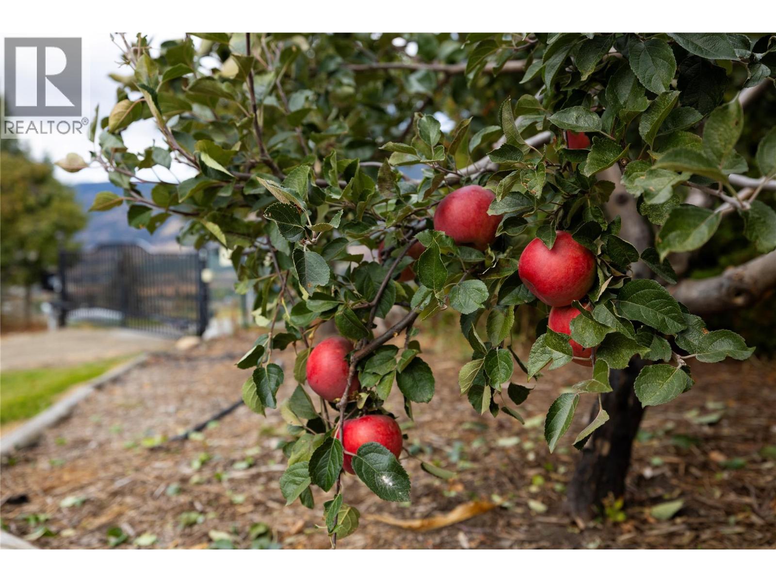 5432 Rochdell Road, Coldstream