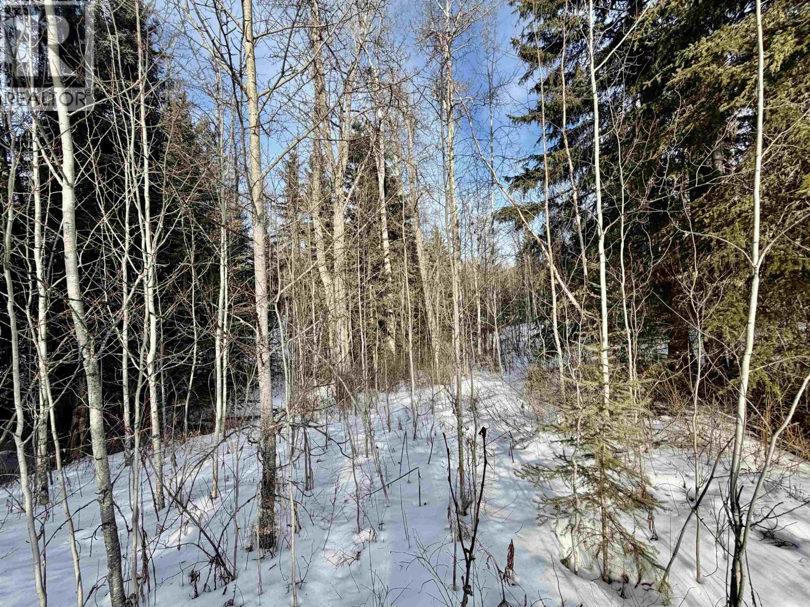 DL 2555 ELY SUBDIVISION ROAD, Fraser Lake