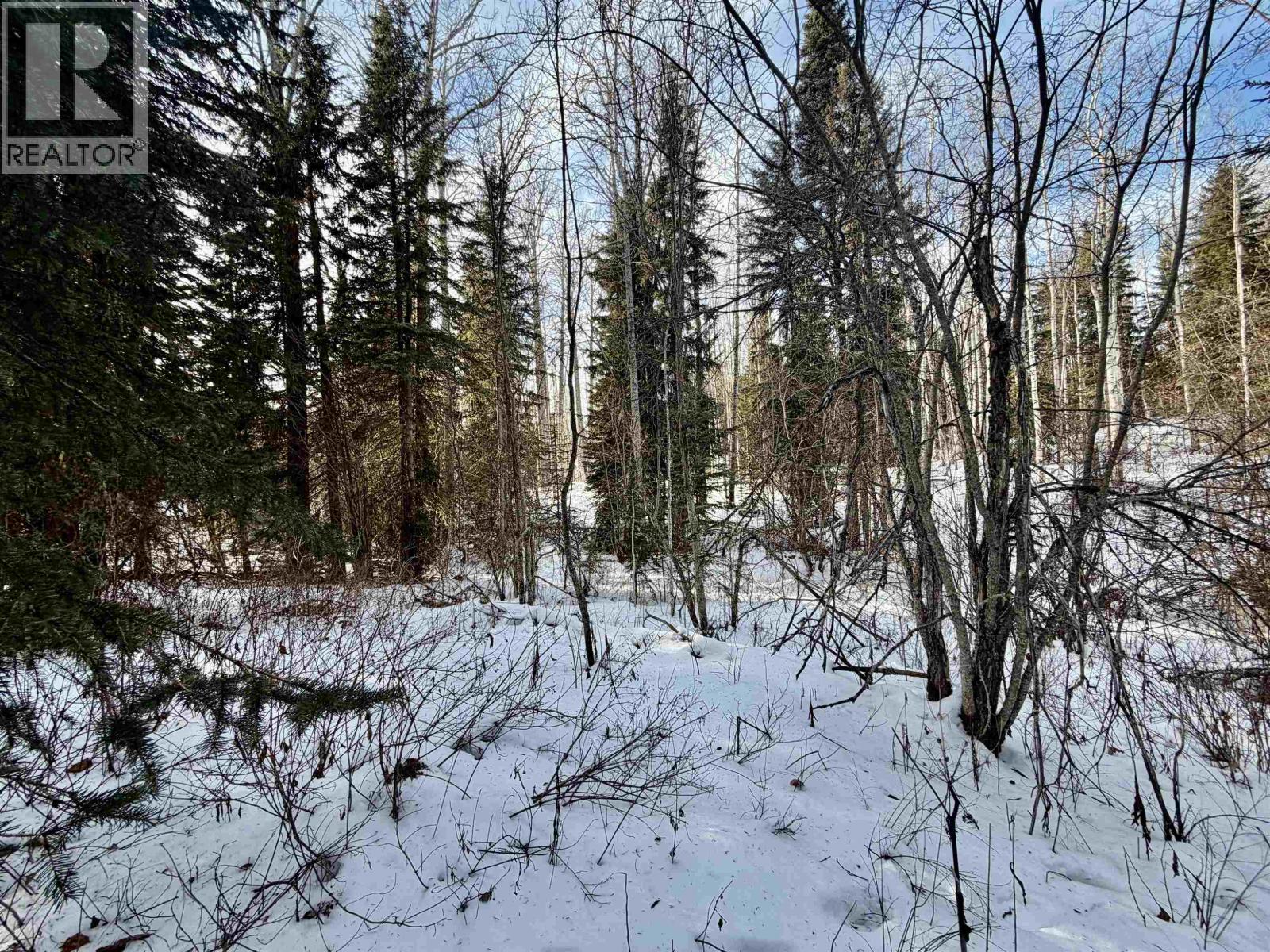 DL 2555 ELY SUBDIVISION ROAD, Fraser Lake
