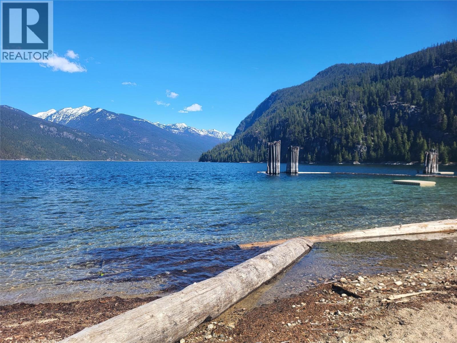 303 DELANY Avenue, Slocan