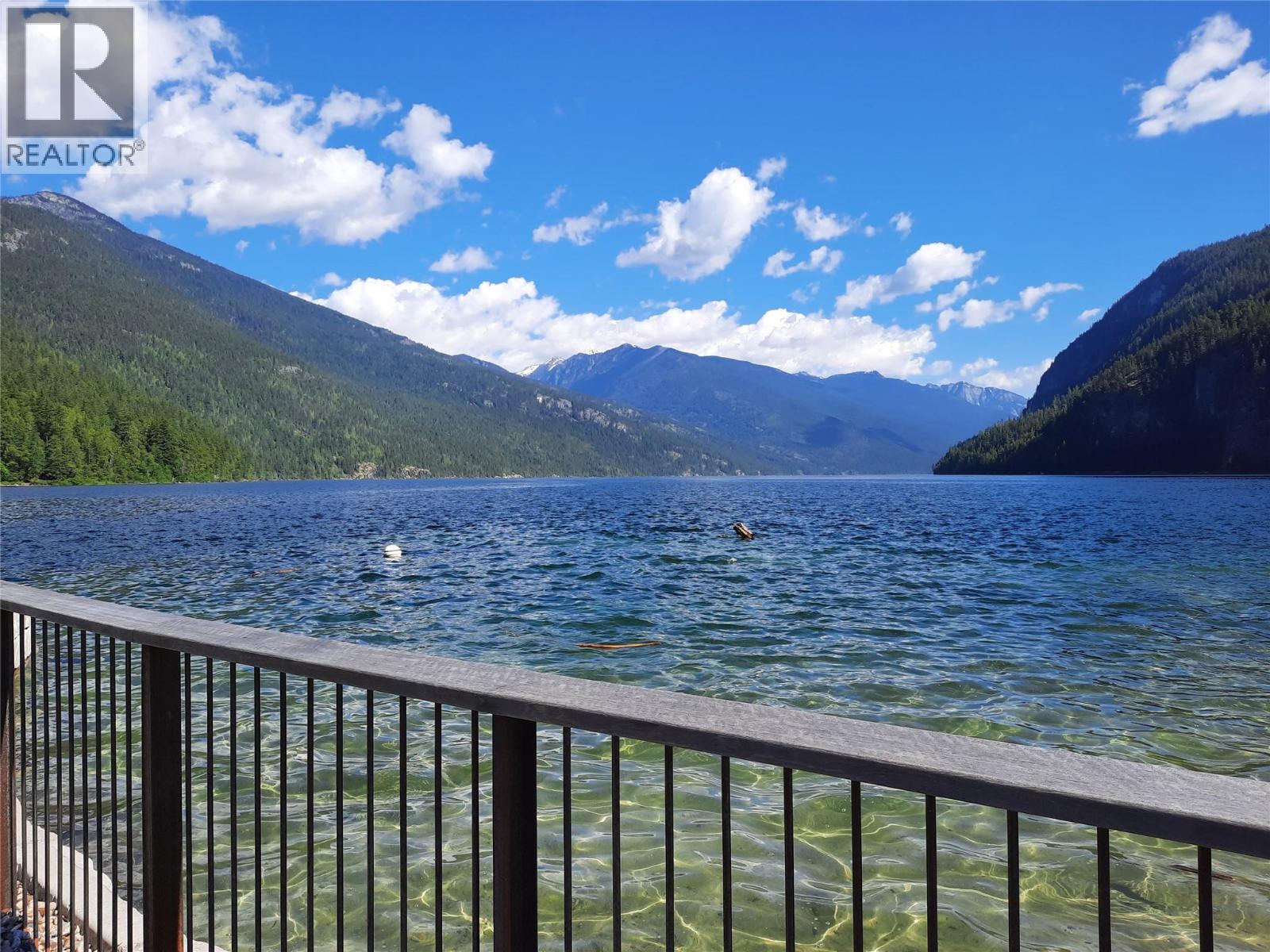 303 DELANY Avenue, Slocan