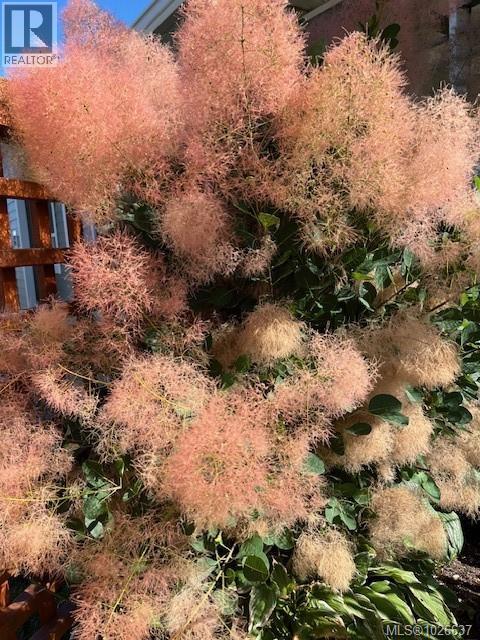 3407 Eagleview Cres, Courtenay