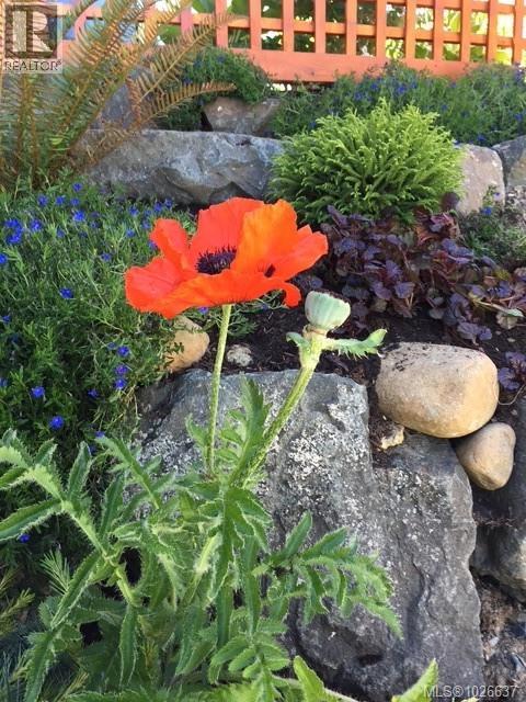 3407 Eagleview Cres, Courtenay