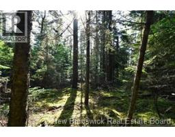 Welshpool Back Road, Campobello, NB E5E1G9 Photo 8