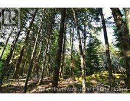 Welshpool Back Road, Campobello, NB E5E1G9 Photo 9