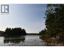 Welshpool Back Road, Campobello, NB E5E1G9 Photo 6