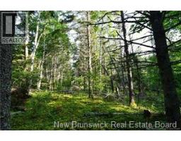 Welshpool Back Road, Campobello, NB E5E1G9 Photo 10
