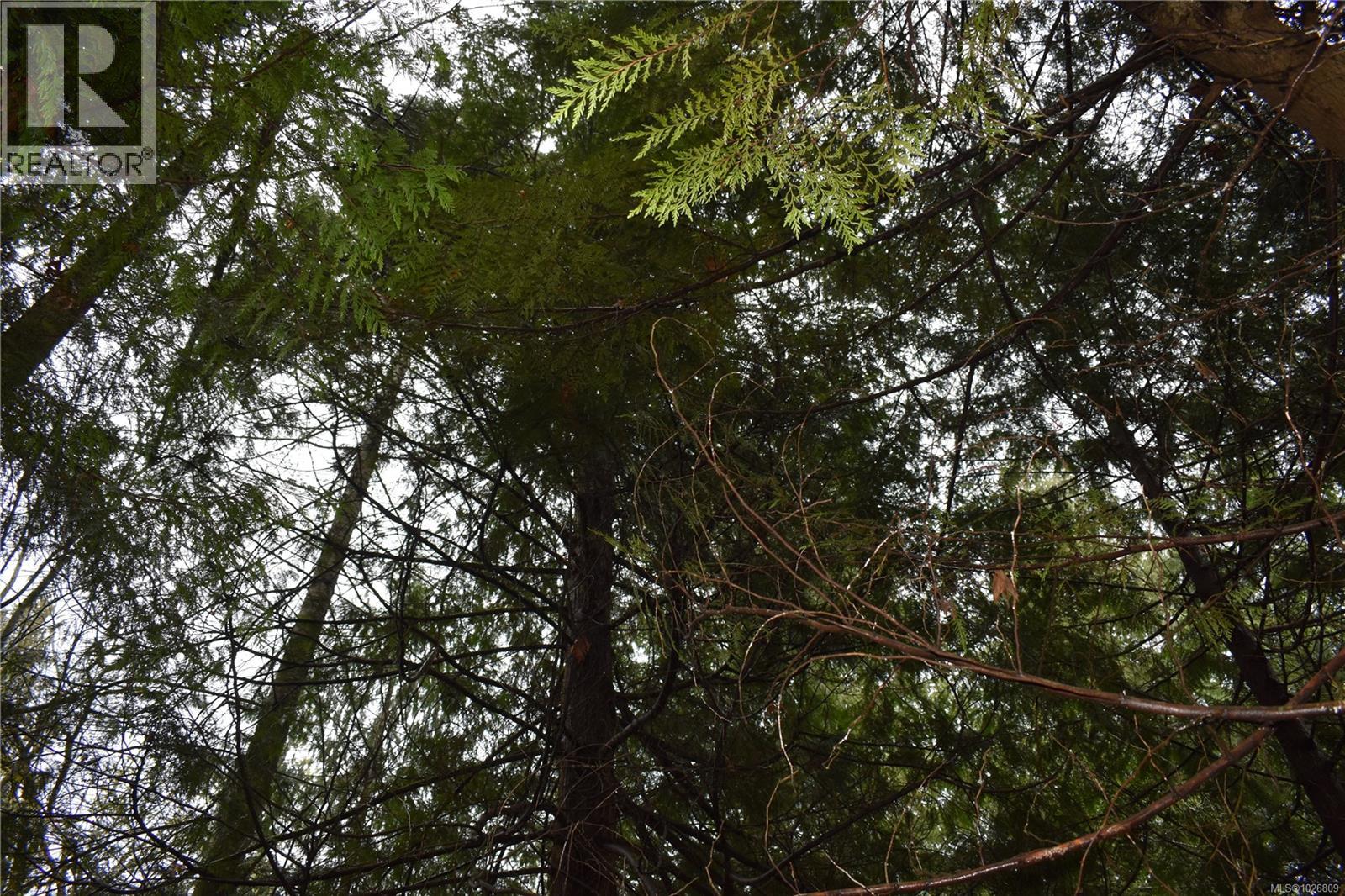  201 Grantville Street, Salt Spring