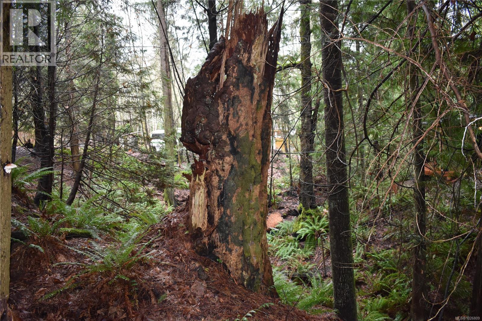  201 Grantville Street, Salt Spring