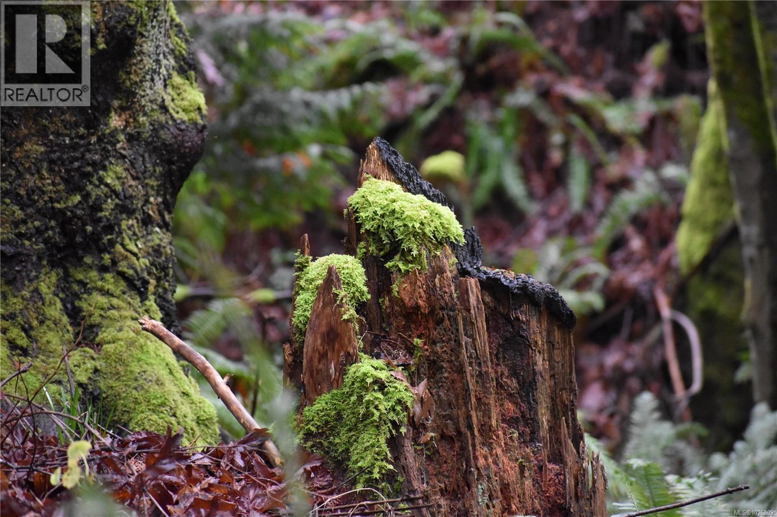  201 Grantville Street, Salt Spring