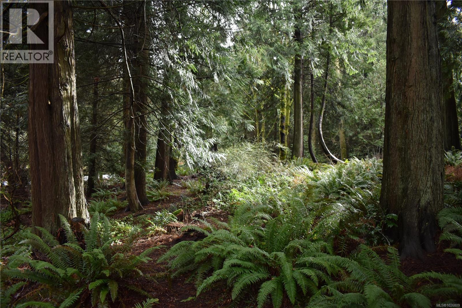  201 Grantville Street, Salt Spring