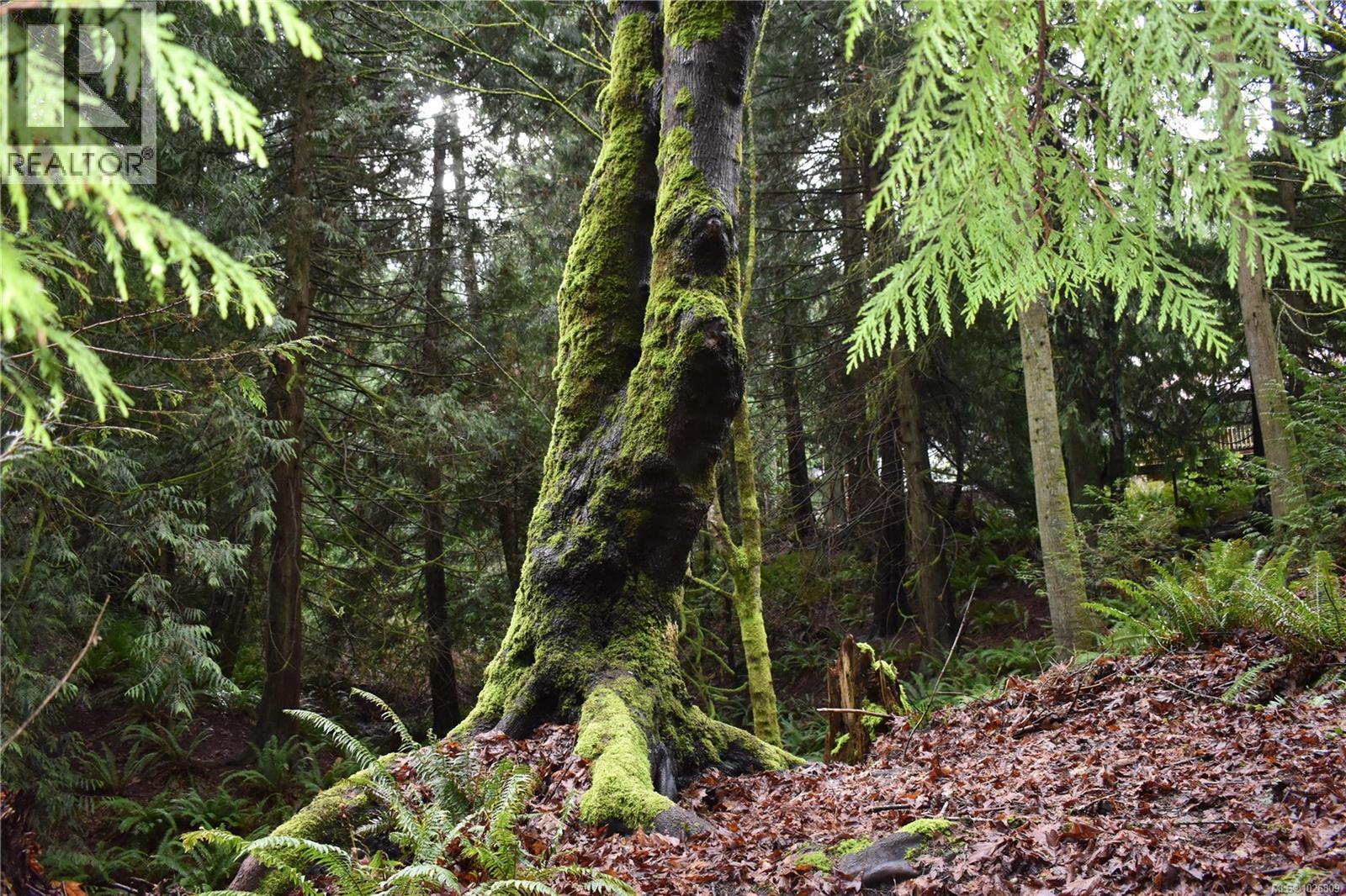  201 Grantville Street, Salt Spring