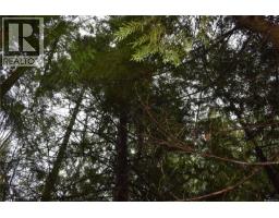201 Grantville St, Salt Spring, BC V8K1P1 Photo 10