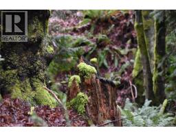 201 Grantville St, Salt Spring, BC V8K1P1 Photo 14