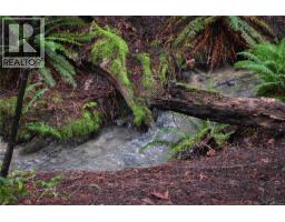 201 Grantville St, Salt Spring, BC V8K1P1 Photo 17