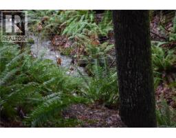 201 Grantville St, Salt Spring, BC V8K1P1 Photo 18