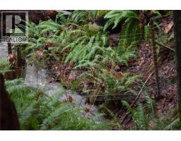 201 Grantville St, Salt Spring, BC V8K1P1 Photo 19