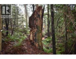 201 Grantville St, Salt Spring, BC V8K1P1 Photo 20
