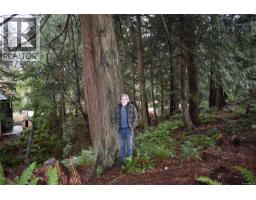 201 Grantville St, Salt Spring, BC V8K1P1 Photo 21
